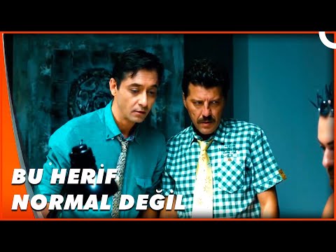 Seed Review Team | Two Friends