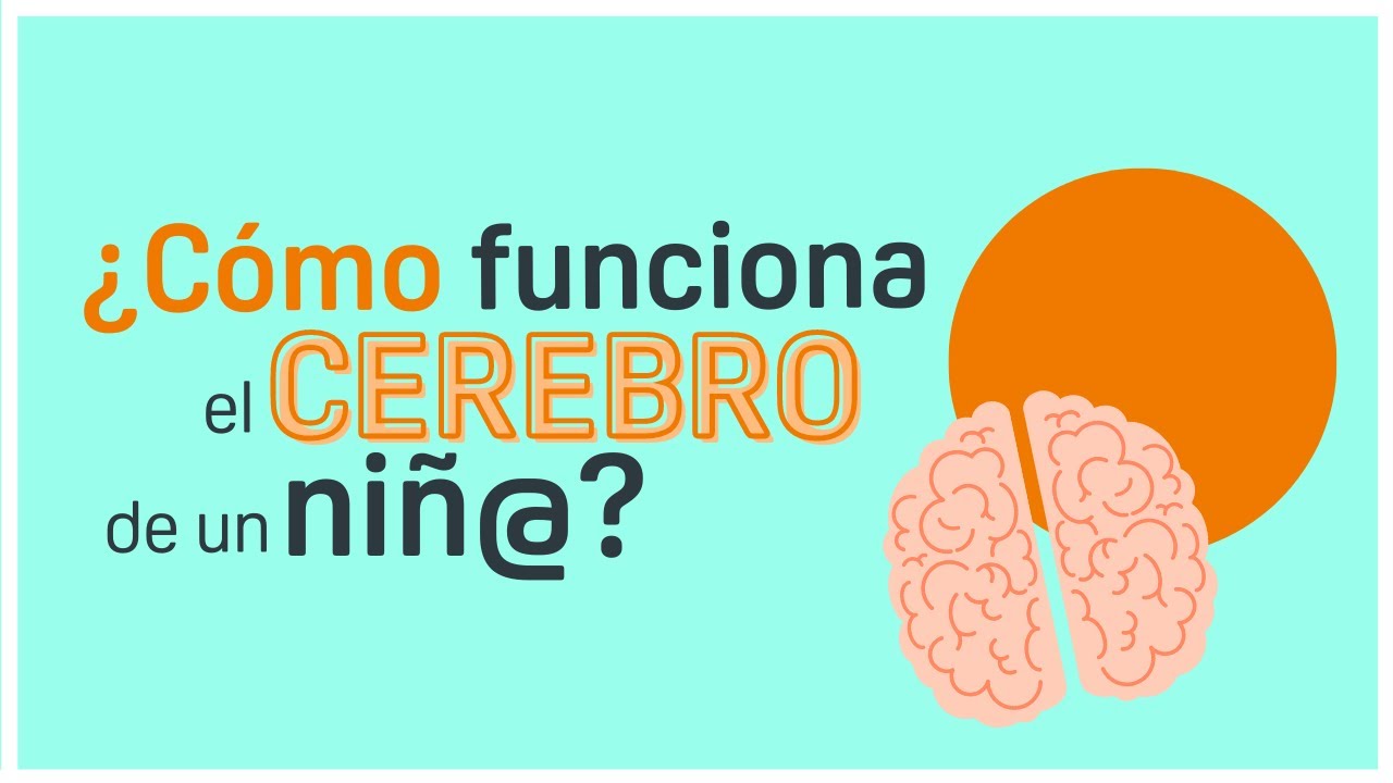 ⚡NEUROCIENCIA y APRENDIZAJE🤓 - ¡¿CÓMO FUNCIONA el CEREBRO de un NIÑO?! | Educar Con Autoestima