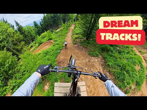 EVERYONE SHOULD RIDE THESE MTB FLOW TRAILS!