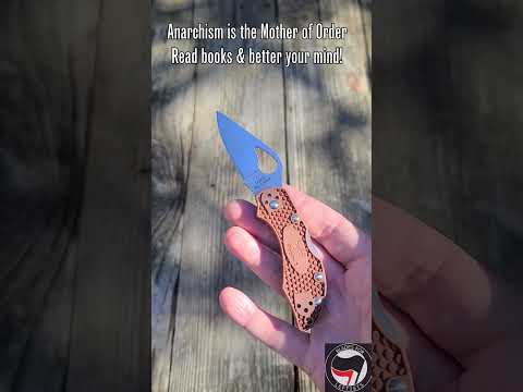 Spyderco Byrd Robin 2 review - Affordable, compact high value lockback knife