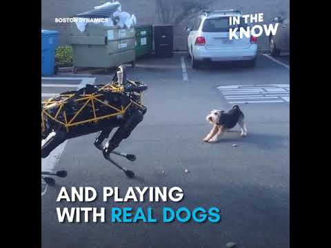 Boston Dynamics’ newest robot dog can open doors by itself