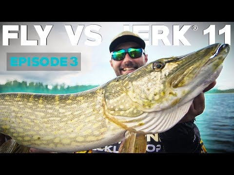 FLY VS JERK 11 - Episode 3 - Archipelago Day