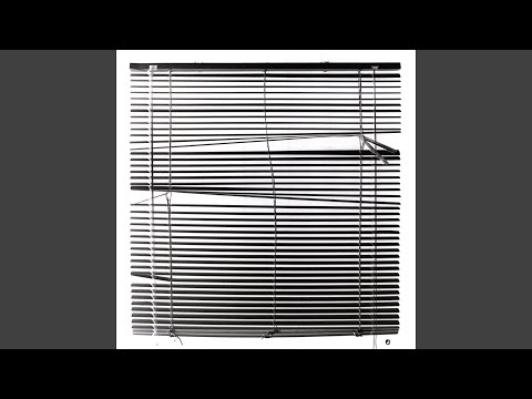 Der Mann der zweimal lebte