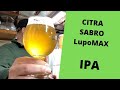 Driving Hop Aroma *No Dry Hopping* Citra & Sabro LUPOMAX IPA
