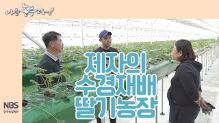 [나는농부다 223회]  경희 씨 제자의 딸기 스마트팜