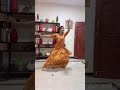 Anbe Vaa Serial Delna Dance Sun Tv