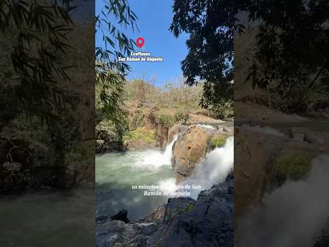 Eco Musas 🇨🇷San Ramón de Alajuela Mar–Dom 8am - 4pm Waze 📲 8305-9174 #ticos #costarica #tiquicia