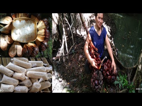 Jumbo Ice Candy With Nipa Palm Fruit I Ginawang Ice Candy Ang Nipa Palm Fruit