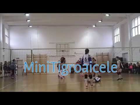 Campionatul National Minivolei 2017/2018 - CSM Bucuresti vs.CTF Mihai I (3:0)  T4
