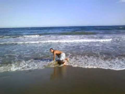 pescao de agua dulce que piyo una cascara de platano