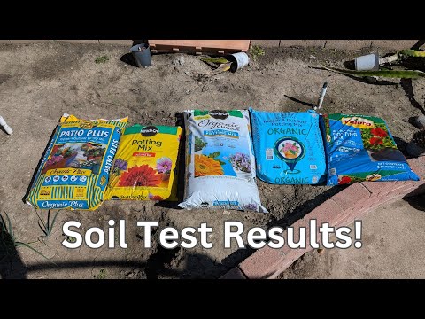 We Tested 5 Potting Soils with 2 Raspberry Varieties — Here’s What We Learned