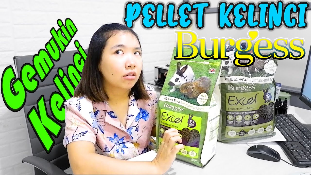 Watch video REVIEW PELLET KELINCI | BURGESS EXCEL ADULT MINT Now REVIEW PELLET KELINCI | BURGESS EXCEL ADULT MINT