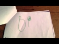 Q S Book Of Opposites