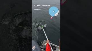 コホサーモン2匹め #fishing #釣り #サーモン #シアトル