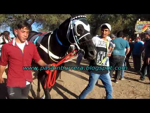 Victoria, Pista Pangare - Cruz del Eje (20-08-17)