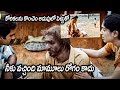 Mirugam Movie Interesing Heart Touching Emotional Climax Scene Telugu Movie Scenes Maa Show