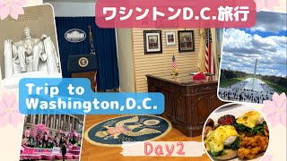 【後編】ワシントンDC旅行♪桜まつり、パレード、リンカーン記念堂、キング牧師像/TRIP to Washington, D.C. VLOG/Day2