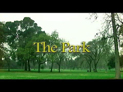 The Park