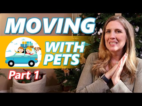 🚙 Moving With 🐶🐱 Pets Across Country - Part 1