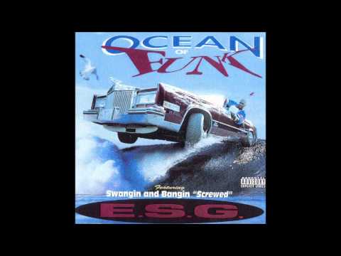 Esg-Birdies that dont chirp