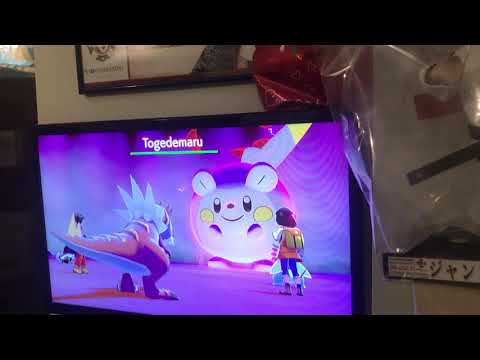 Catturiamo Calyrex! Pokémon Spada e Scudo Pass di espansione 2 ( part.3 )