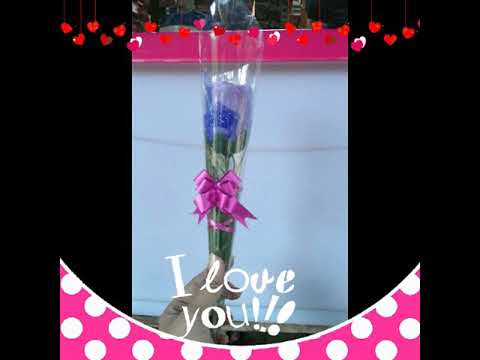 bunga di balik kaca@#Rudiath#$