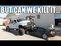 THE DIRTYMAX CRUSHES A RICER!!!