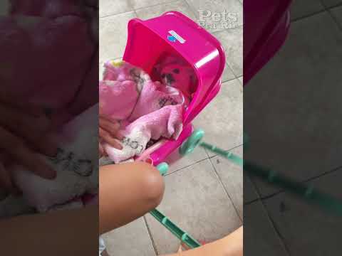 Palavrinhas mágicas😂😂❤️