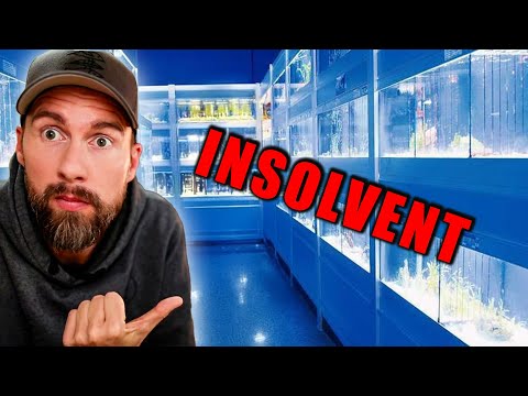 The LARGEST PET STORE in the WORLD is INSOLVENT! Robert Marc Lehmann reacts to Zoo Zajac