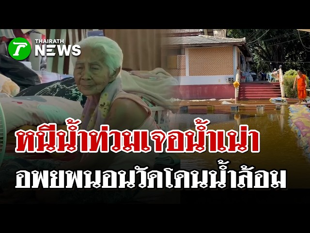 องครักษ์วิกฤต! น้ำเน่าล้อมศูนย์อพยพ ตะโกนถึงนายกฯ ไม่ไหวแล้ว! | 7 ต.ค. 69 | ไทยรัฐนิวส์โชว์