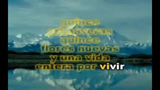 15 Primaveras karaoke - Vicente Fernandez