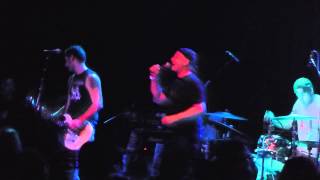 Angry Samoans - You Stupid Asshole