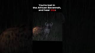 Hyenas Laughing at Night = 💀