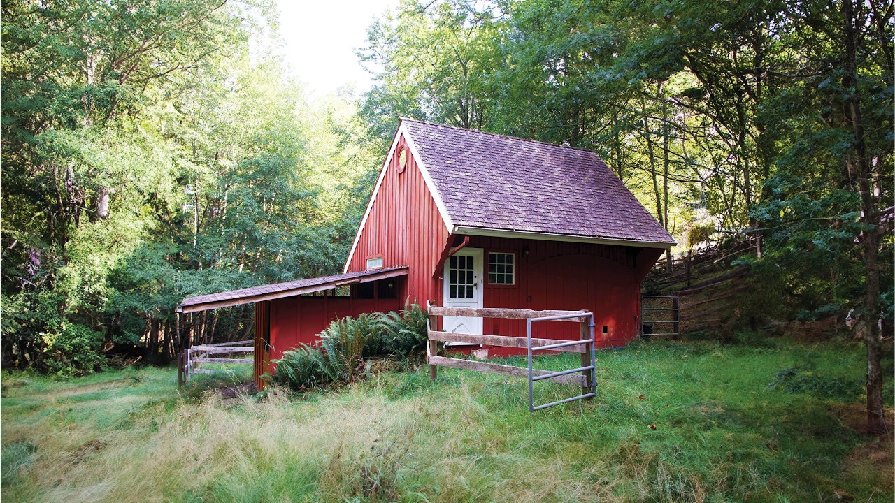I Turned this 3-Level Abandoned Stable into a Dream Woodland Tiny House
