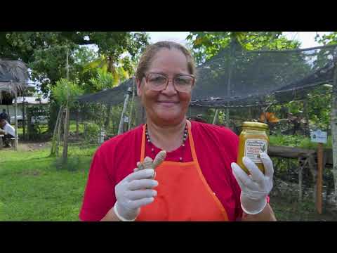 Las Pavas, en La Mojana, ejemplo de adaptación al cambio climático