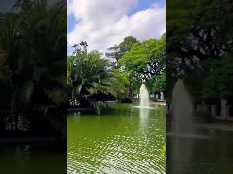 Es realmente una maravilla la fuente del parque General Paz en #saavedra #walking #shorts #tour #ba