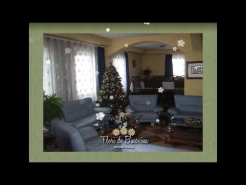 pensiunea turistica - Flori de Bucovina