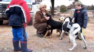 Dogs left to starve in Oklahoma country - One already poisoned.