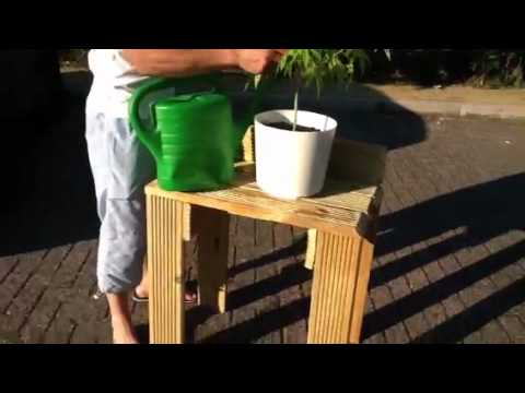 Eigen Huis & Tuin Part 3