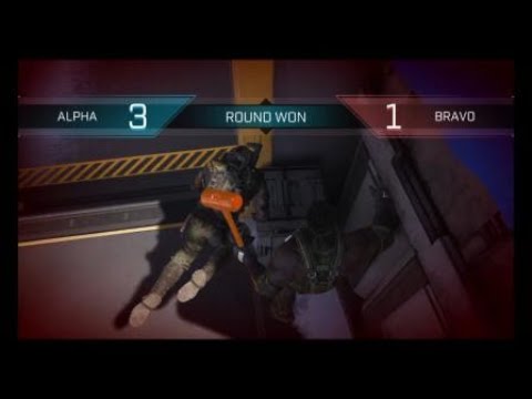 Black Rein | Rogue Company