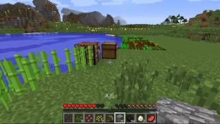 だらっとマイクラ日記【1ページ目】