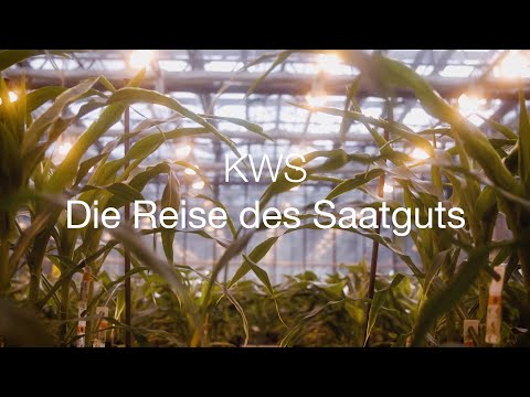 KWS − Die Reise des Saatguts