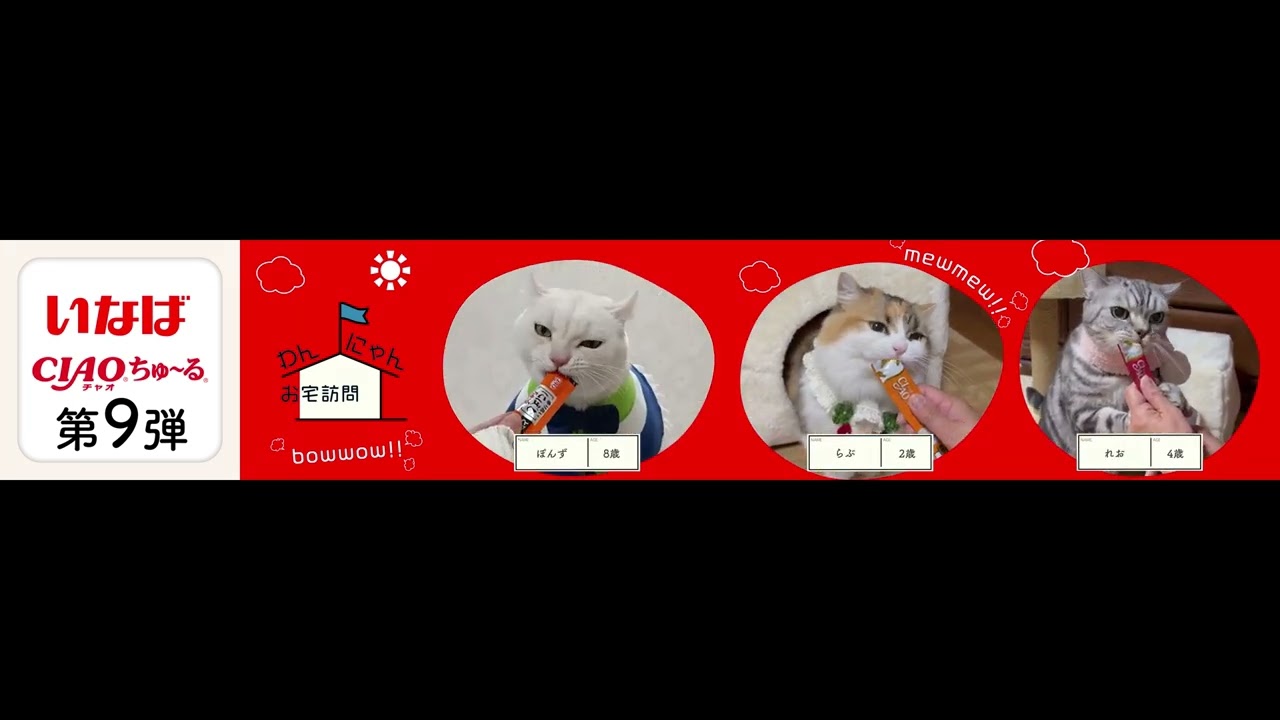 わんにゃんお宅訪問withちゅ～る 第9弾