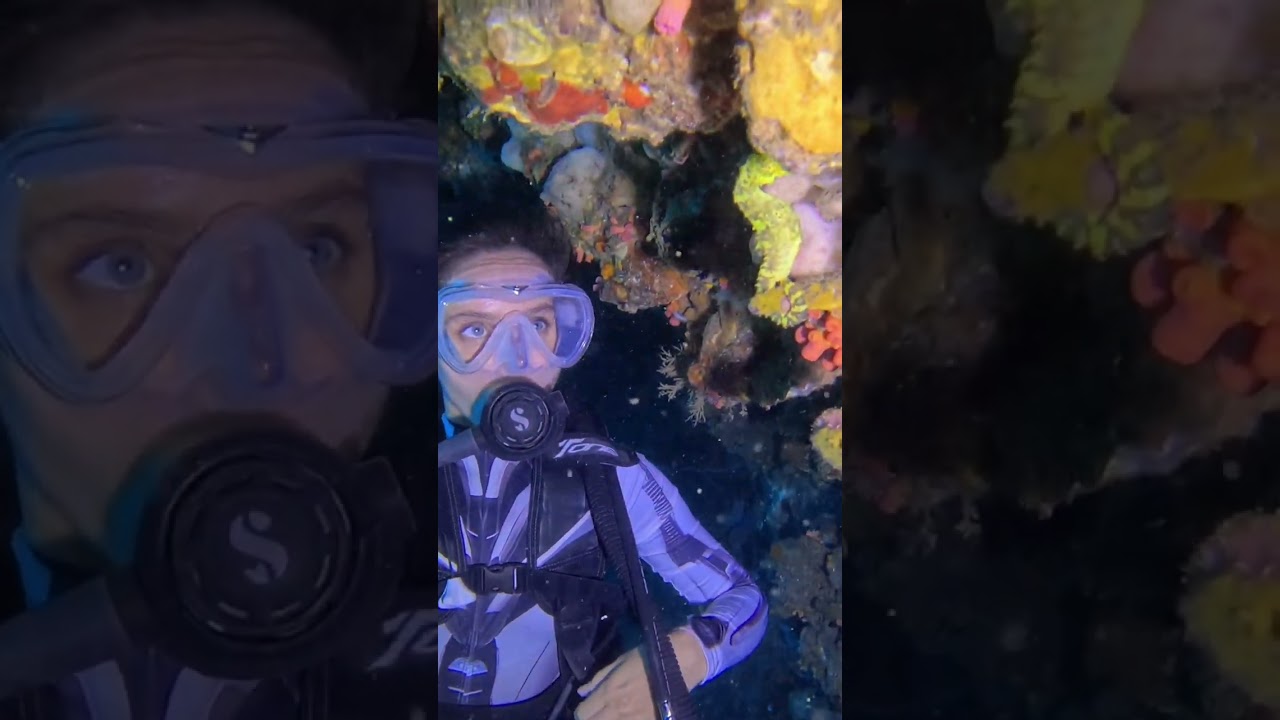 YouTube Short thumbnail