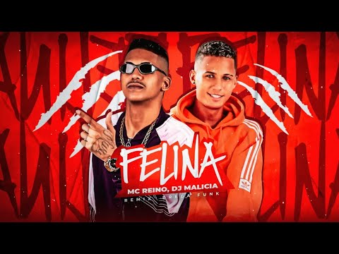 FELINA - MC REINO, DJ MALICIA (REMIX BREGA FUNK)