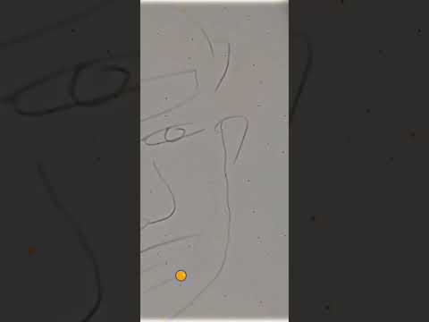 Thumbnail for a recent video by SHIVU ARTIQUE