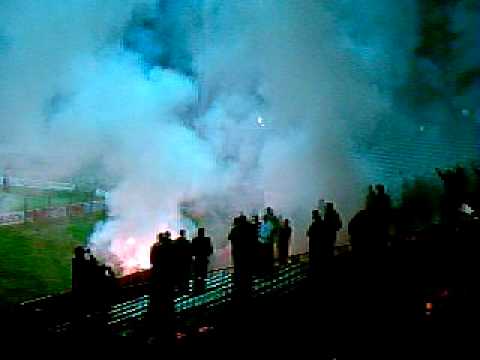 Zwickau gg Energie Cottbus II