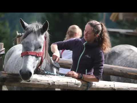 Wanderreiten in den Karpaten