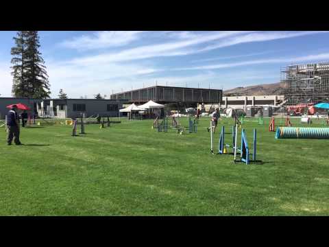 Tracy and Quimblee - Advanced Jumpers (16") - 2015-05-30