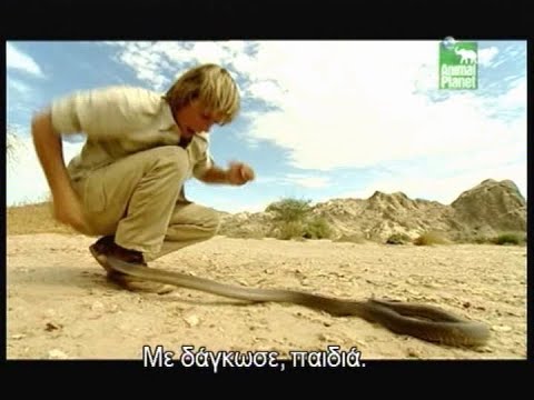 Austin Stevens - Seven Deadly Strikes